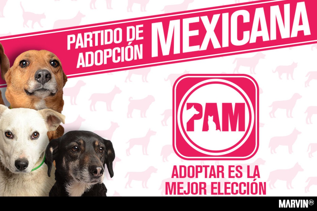 partido-de-adopcion-mexicana-refugio-de-animales-san-gregorio